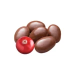 Arándanos cubiertas de chocolate Turín de 500 g – De venta en Zafra Coyoacán