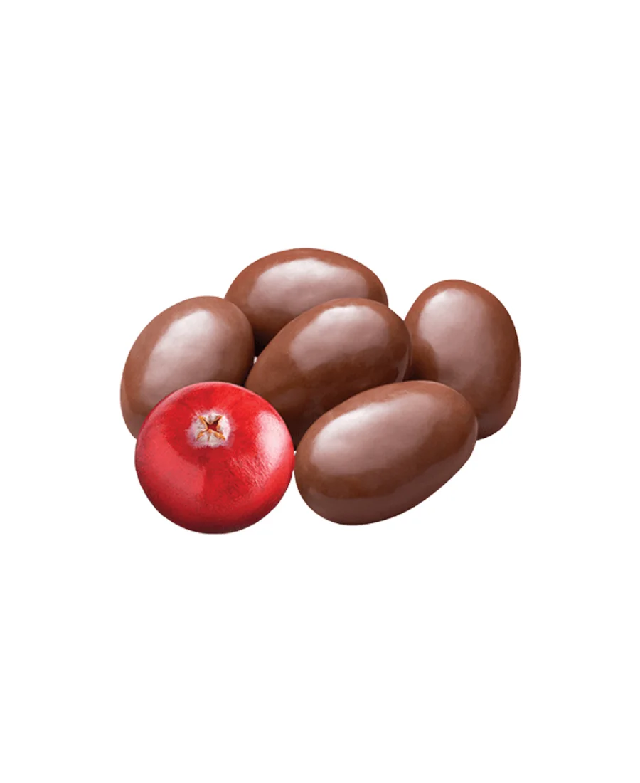 Arándanos cubiertas de chocolate Turín de 500 g – De venta en Zafra Coyoacán